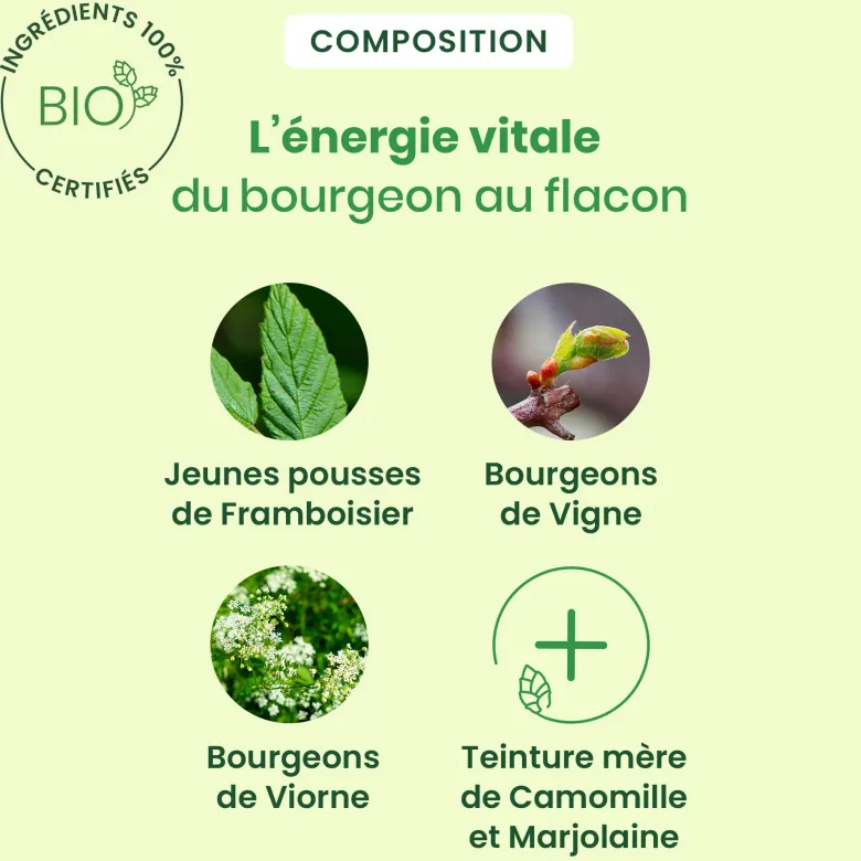 Herbalgem - feminagem spray - cycle féminin - bio