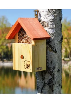 Hotel à insectes bénéfiques pollinisateu