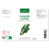 Huile de calophylle inophyle bio - 50ml - fraîcheur garantie oxycert® - vierge &