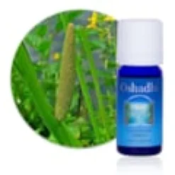 Huile essentielle acore vrai bio