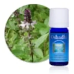 Huile essentielle basilic tropical bio