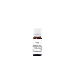 Huile essentielle de basilic bio 10 ml