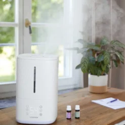 Humidificateur d'air vapeur chaude et froide, 3 intensités, mode nuit silencieux