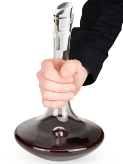 Ibis magnum carafe à vins rouges mûrs