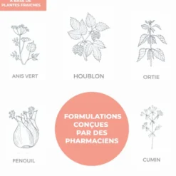 Infusion allaitement Officine Immortelle