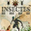 Insectes