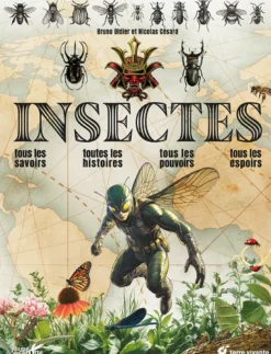 Insectes