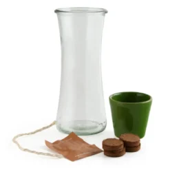 Jardin autonome : basilic pourpre - bio