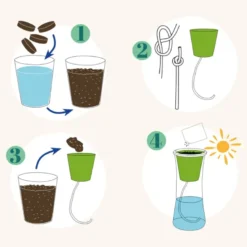 Jardin autonome : basilic pourpre - bio