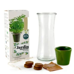 Jardin autonome : persil - bio