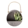 Jardinière murale zinc 20 cm