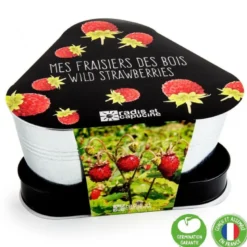 Jardinière zinc 3 aromatiques bio