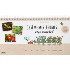 Je sème mes légumes et ça marche
