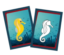 Jeu de cartes a créer animaux marins