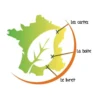 Jeu pollen