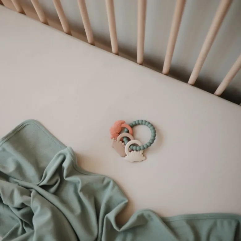 Jouet de dentition ring dino