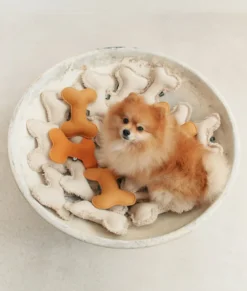 Jouet pour chien - beige