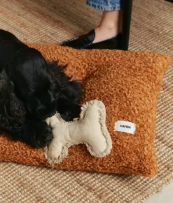Jouet pour chien - blanc
