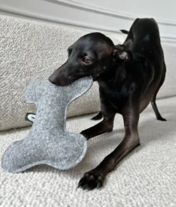 Jouet pour chien - gris