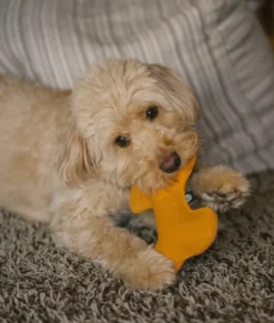 Jouet pour chien - moutarde