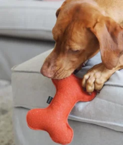 Jouet pour chien - rouge