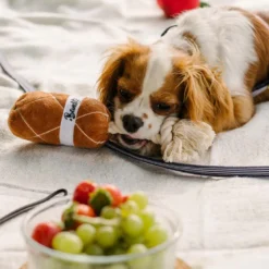 Jouet pour chien saucisson