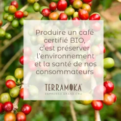 1 kg de café grain bio du brésil - mexique -tanzanie