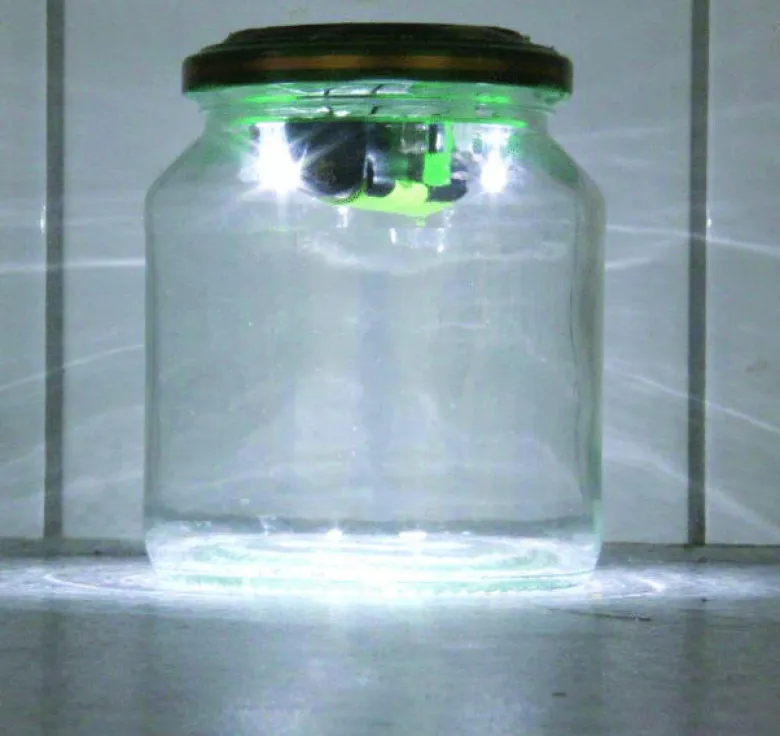 Kit alimentation solaire lampe bocal