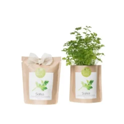 Kit bio prêt à pousser persil