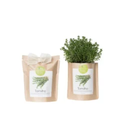 Kit bio prêt à pousser thym