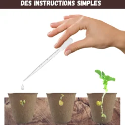 Kit bonsaï prêt à pousser – graines 100% biologiques