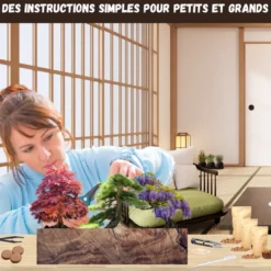 Kit bonsaï prêt à pousser – graines 100% biologiques