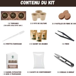 Kit bonsaï prêt à pousser – graines 100% biologiques