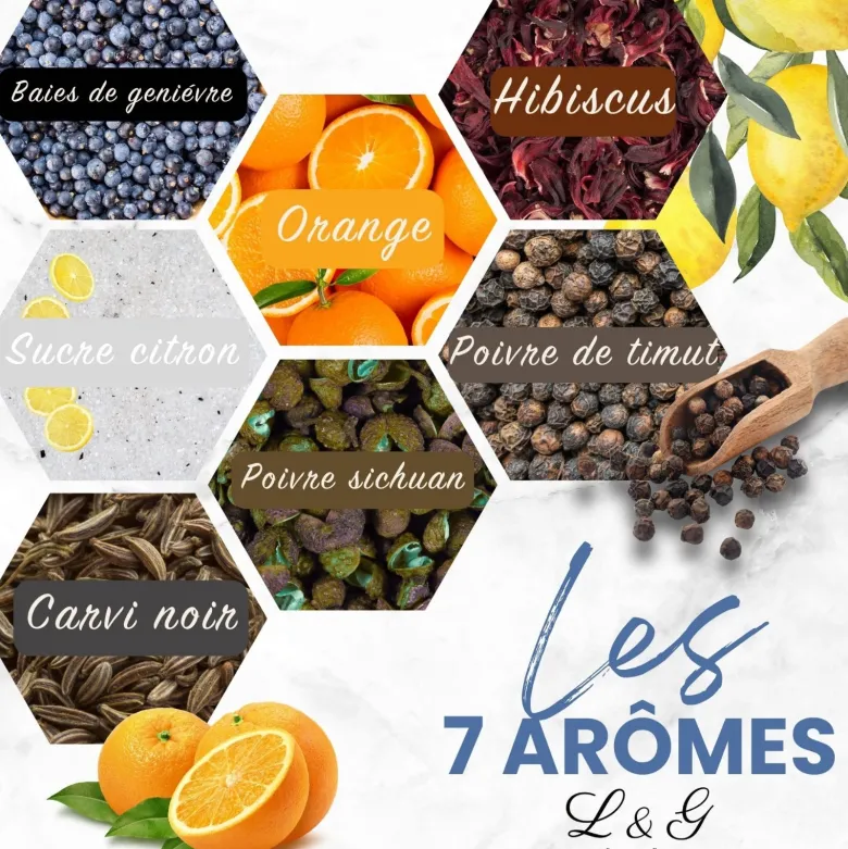 Kit découverte aromatisation gin