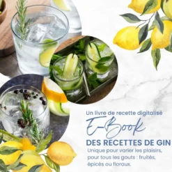 Kit découverte aromatisation gin