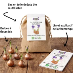 Kit de bulbes bio - ma fantastique safranière