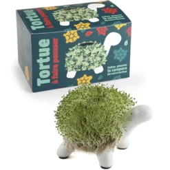 Kit de culture cresson tortue
