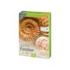Kit de fouille de fossiles