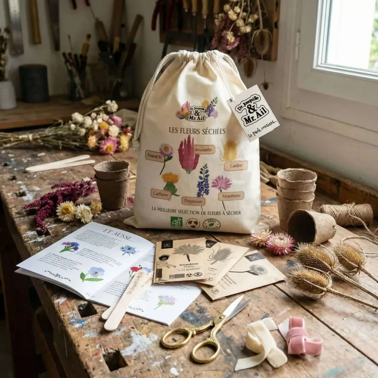 Kit de graines bio - les fleurs séchées