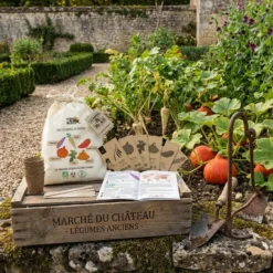 Kit de graines bio - les légumes d'antan