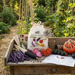 Kit de graines bio - les légumes extraordinaires