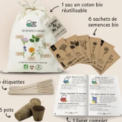Kit de graines bio - les plantes à tisanes