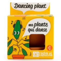 Kit de plantation la plante qui danse