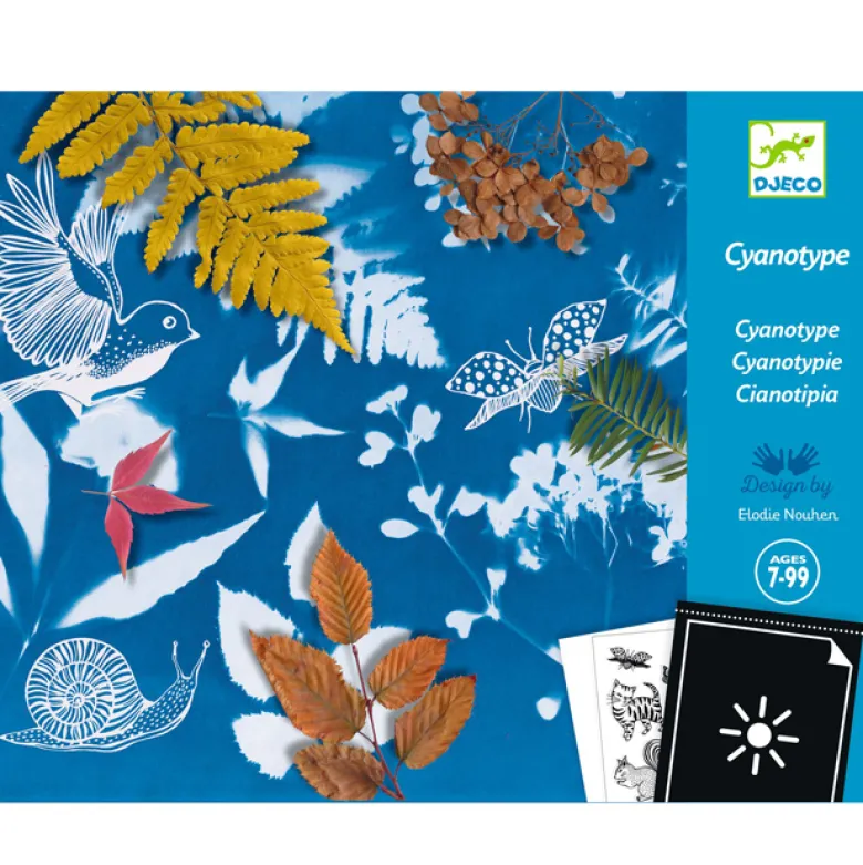 Kit d'initiation au cyanotype