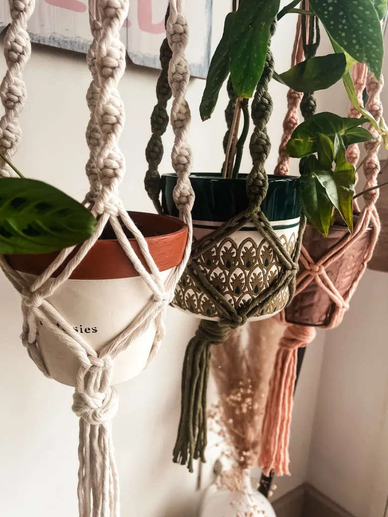 Kit diy suspension macramé écru - créez votre décoration pour plantes