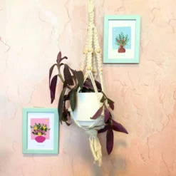 Kit diy suspension macramé pour plantes