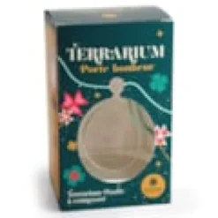 Kit DIY Terrarium en verre à composer porte-bonheur