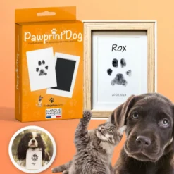 Kit empreintes chien chat + cadre photo