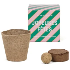 Kit fleurs à faire pousser