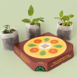 Kit pizza à faire pousser